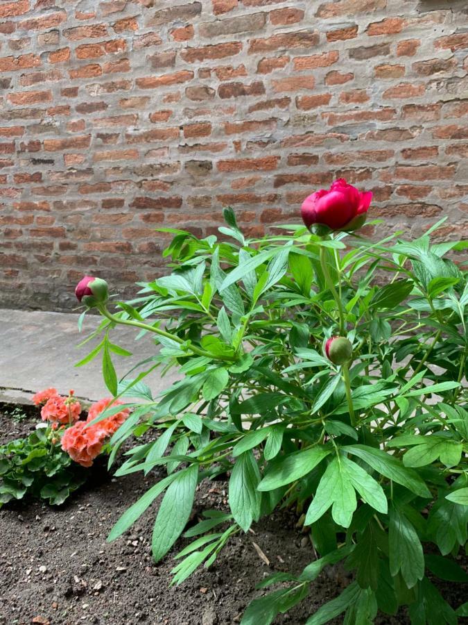 Al Fluviale Bed and Breakfast Ferrara Exterior foto